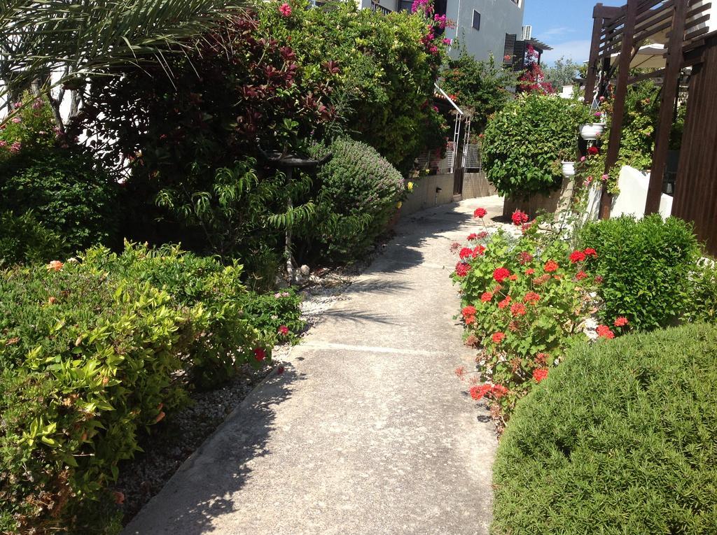 Paphos Townhouse Villa Exteriör bild